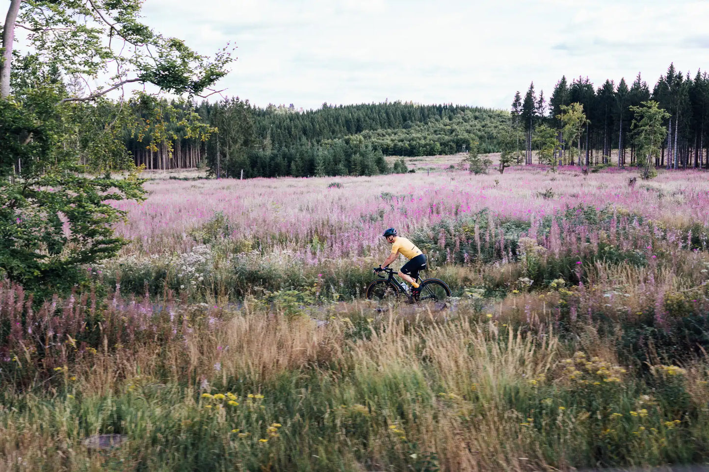 Harter Brocken GRAVEL