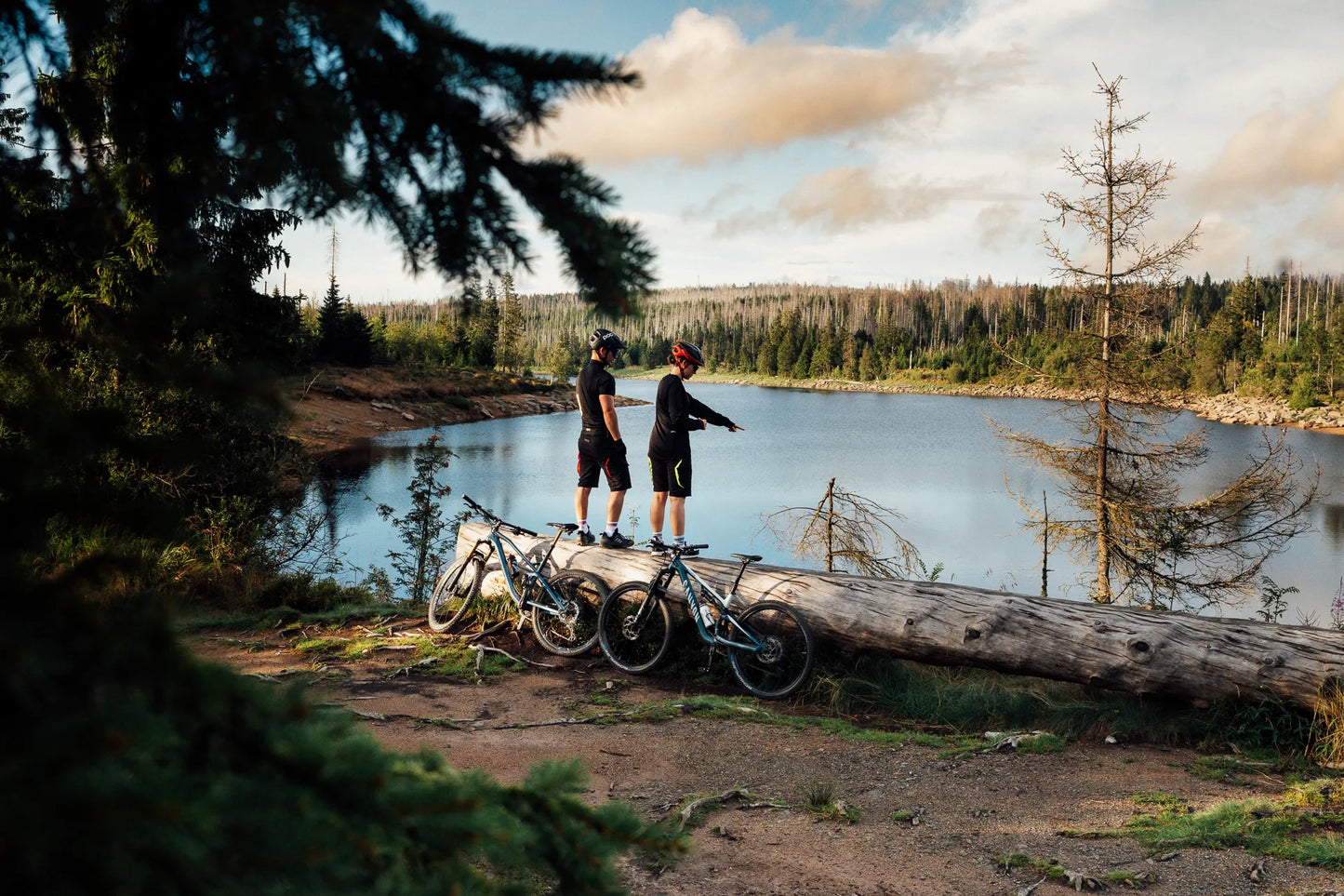Harter Brocken TRAIL