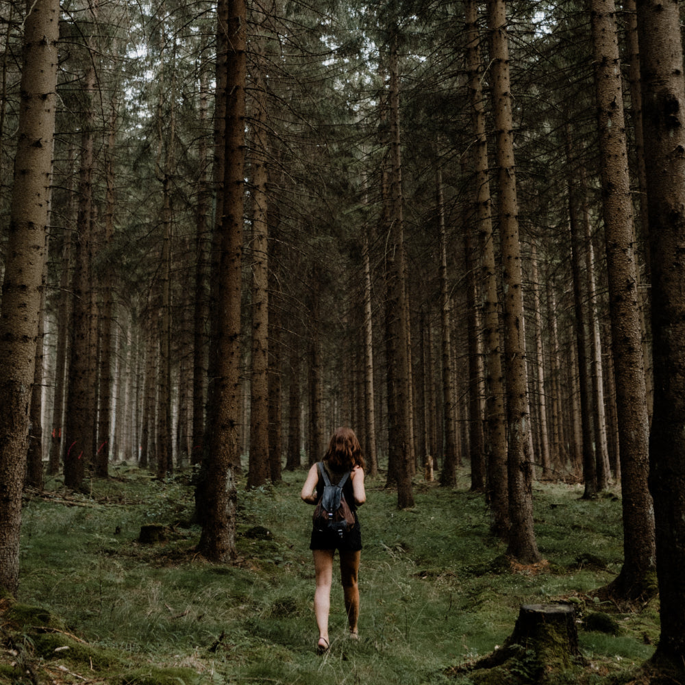 HIKE