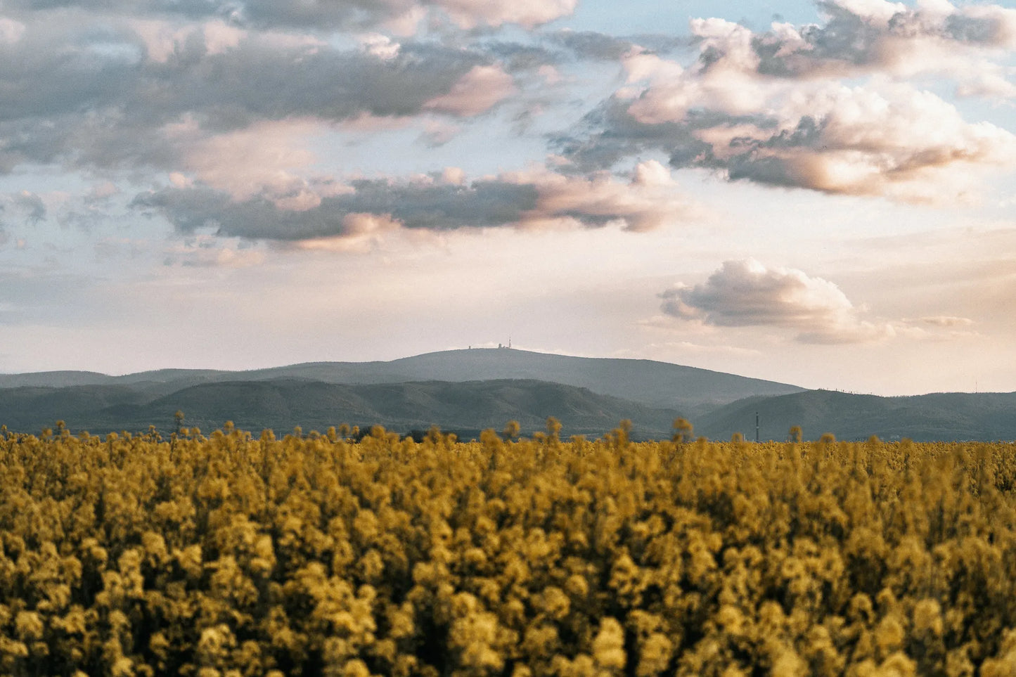 Ride to the Brocken – Harz Gravel Community Ride